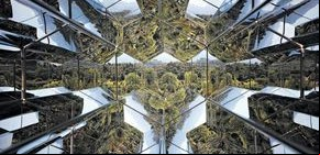 En Brasil, un jardín lleno de arte