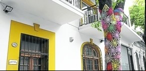 Vestir con tejidos de lana los árboles, el nuevo arte urbano que llega a la Ciudad