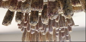 Colonia Caroya celebrará este domingo la Fiesta del Salame Típico