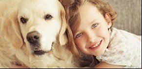 Los perros pueden reconocer las expresiones humanas