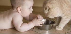 La mascota y la llegada del bebé