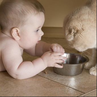 La mascota y la llegada del bebé