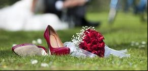 Ponele color a tu boda