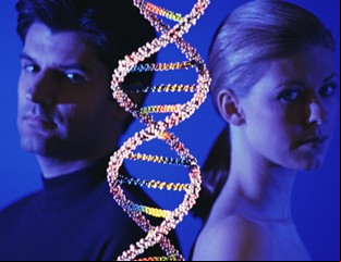 Epigenética: somos muchos más que nuestros genes