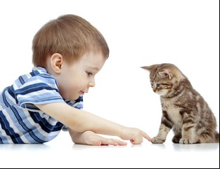 Emoción animal, algo que ya nadie se anima a cuestionar