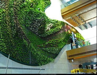 Jardines verticales: paredes tapizadas con plantas naturales