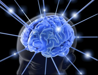 7 alimentos saludables para nutrir tu cerebro