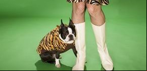 ¿Cómo usar el animal print y no morir en el intento? 