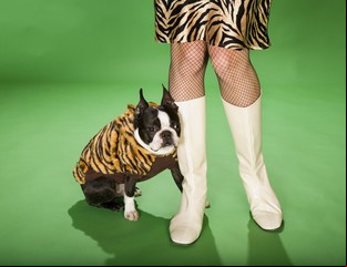 ¿Cómo usar el animal print y no morir en el intento? 