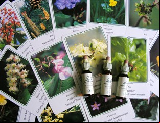 Flores de Bach: reencontrate con tus emociones