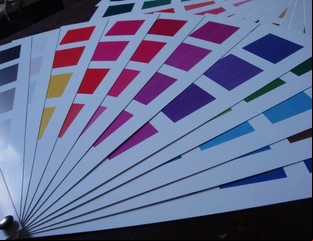¿Qué colores me conviene elegir?