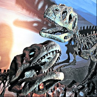 Fauna marina y huellas de dinosaurios