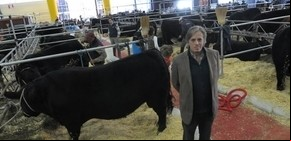 La Rural: la ganadería mira para adelante, con lo mejor
