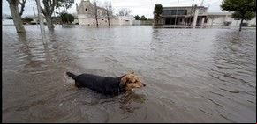 En Sanford, la crecida dejó la mitad del pueblo bajo el agua