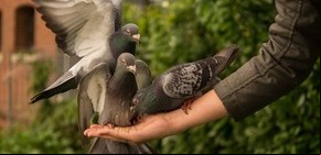 Las 3 E, o cómo aprender a convivir con el estrés