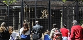 Denuncian el  mal estado del Zoo porteño y piden hacerlo más ecológico 