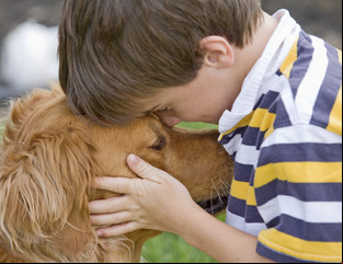  Decir adiós a nuestras mascotas: el rol del médico veterinario
