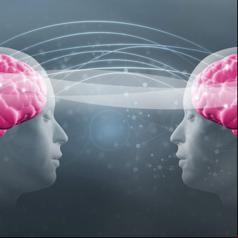 Definen que el cerebro no tiene sexo
