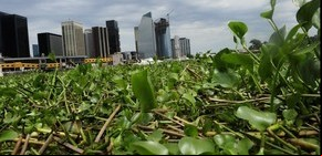 El Niño, culpable del drama ambiental que afecta al país