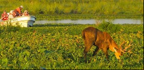 Hay polémica por un proyecto para crear un parque nacional