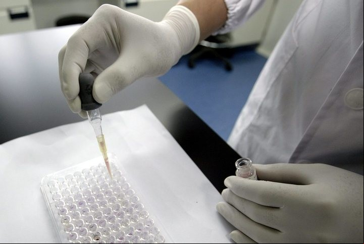 Los factores económicos y sociales inciden en los genes.