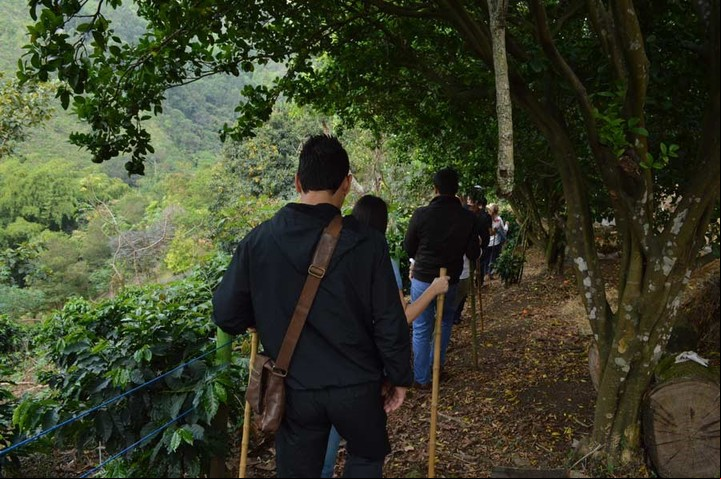 Ruta del Café, Antioquia, Colombia