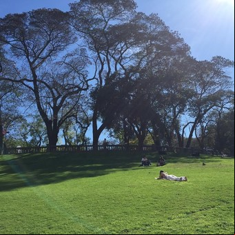 GPS Plaza San Martín:  el lujo y el bosque