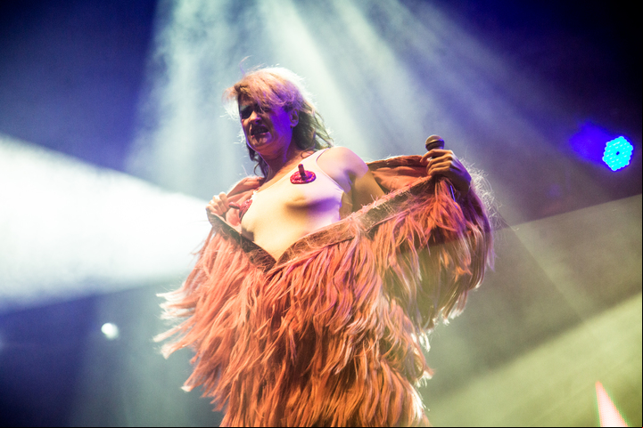 Provincia Buenos Aires localidad de villa Martilli 15 octubre 2016 Bue festival musica Peaches
foto Guido Adler ley 11723 - FTP CLARIN peaches-7497.jpg Z Invitado