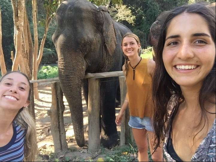En el Elephant Nature Park, en Tailandia