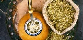 Viaje al corazón de la yerba mate