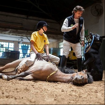 Los otros caballos de Palermo: terapia y ayuda para chicos discapacitados