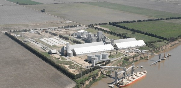 Incertidumbre en el mercado de soja ante la reactivación de China y señales de la demanda global
