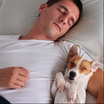 Cuál es la enfermedad que podés prevenir al dormir con tu perro, según la ciencia