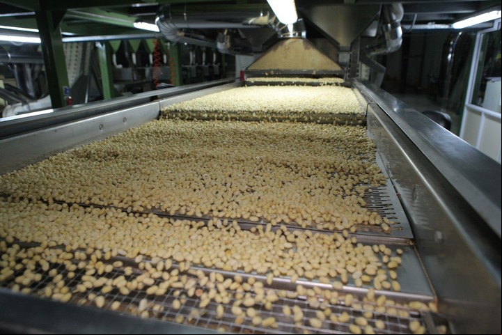 Una cinta que transporta el grano sin cáscara en Prodeman.