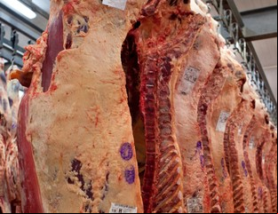 El Gobierno decidió evaluar por otros 60 días el ingreso de carne con hueso a la Patagonia