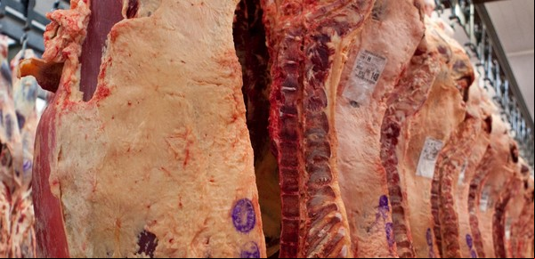El Gobierno decidió evaluar por otros 60 días el ingreso de carne con hueso a la Patagonia