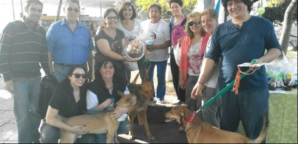 Una Pascua diferente por amor a los perros callejeros