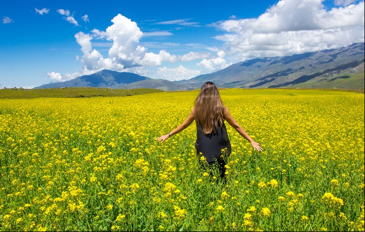Tafí del Valle, Ente Tucumán Turismo