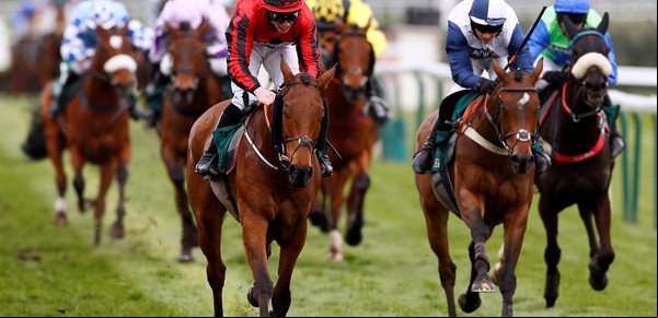 ¿Cuáles son los tipos de carrera de caballos en los hipódromos?