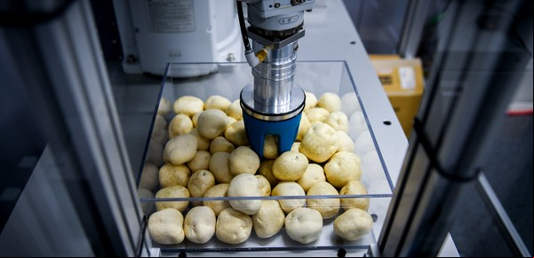 Japón ama a los robots, pero lograr que hagan el trabajo de los humanos no es fácil