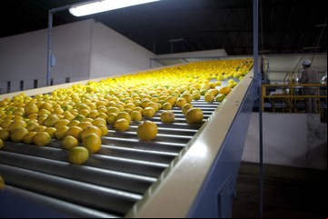 Ecuador le abre las puertas a la carne con hueso y a los cítricos argentinos