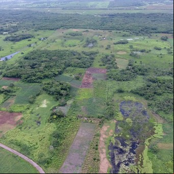 Impactante hallazgo: descubrieron el complejo ceremonial más grande y antiguo de los mayas