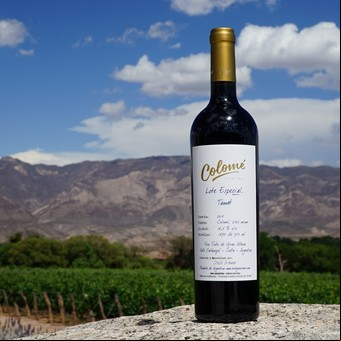 Cómo es y cuánto cuesta el vino argentino que está entre los 5 mejores del mundo