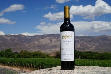 Cómo es y cuánto cuesta el vino argentino que está entre los 5 mejores del mundo