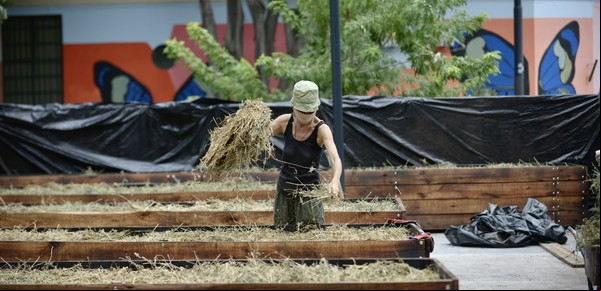 Huertas urbanas: un recurso para conectarse con la naturaleza y cultivar alimentos en plena Ciudad