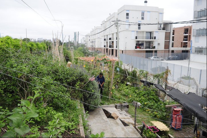 La huerta aterrazada de la Villa 20. Foto Luciano Thieberger
