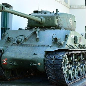 Un tanque de guerra disparó por error contra una granja de pollos: el accidente militar que provocó un escándalo en Italia