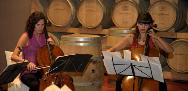Fin de cosecha en Mendoza: el vino y la música se fusionan para recibir a los turistas