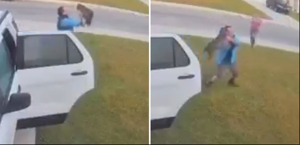 "Me mordió": el video del hombre que defiende a su esposa del ataque de un lince rabioso