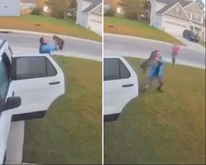 Instante. El hombre lucha contra el animal. Foto: captura de video.